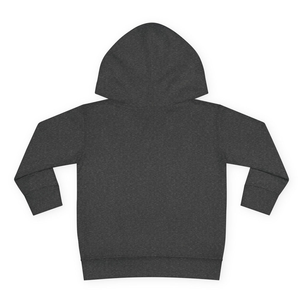 Toddler Hoodie with Gradient Heart Logo — "Anything Cool Shop" Fleece Pullover
