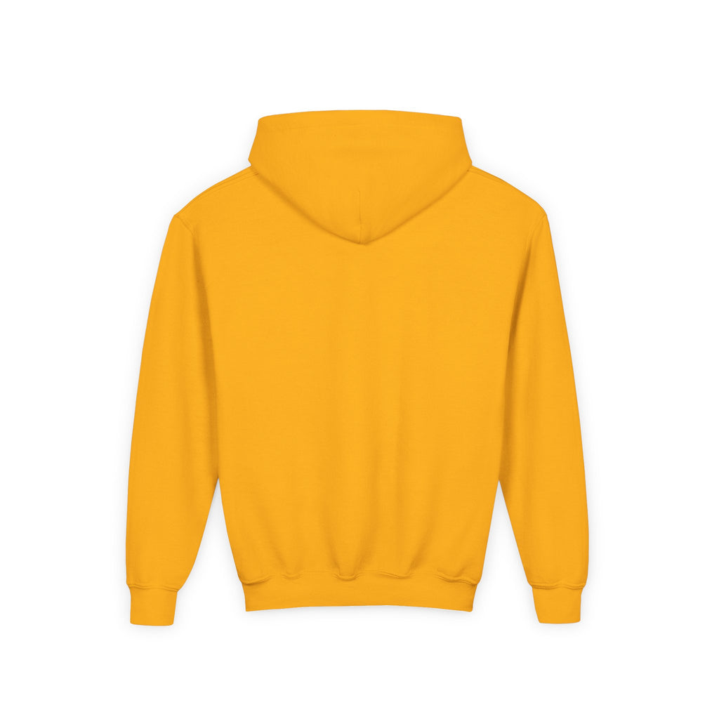 Youth Hoodie — Gradient Heart "Anything Cool Shop" Logo