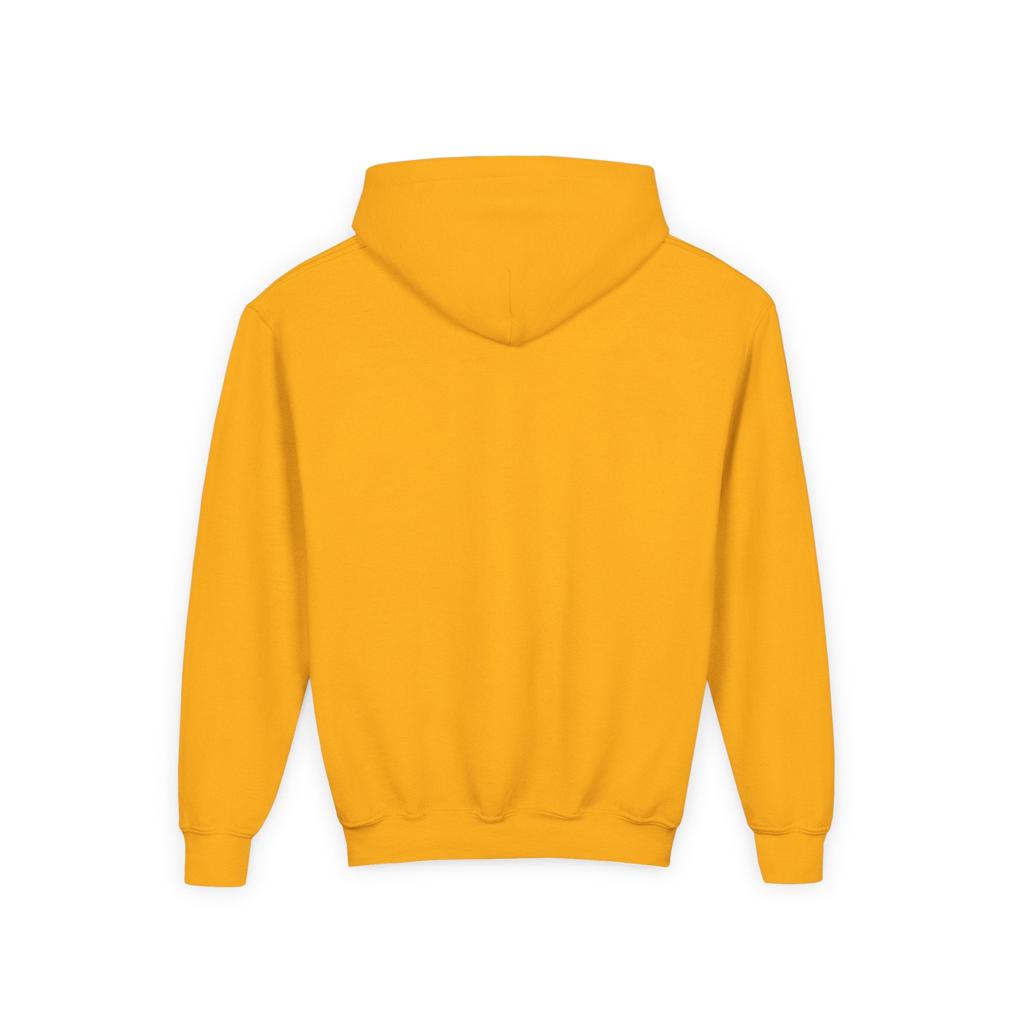 Youth Hoodie — Gradient Heart "Anything Cool Shop" Logo