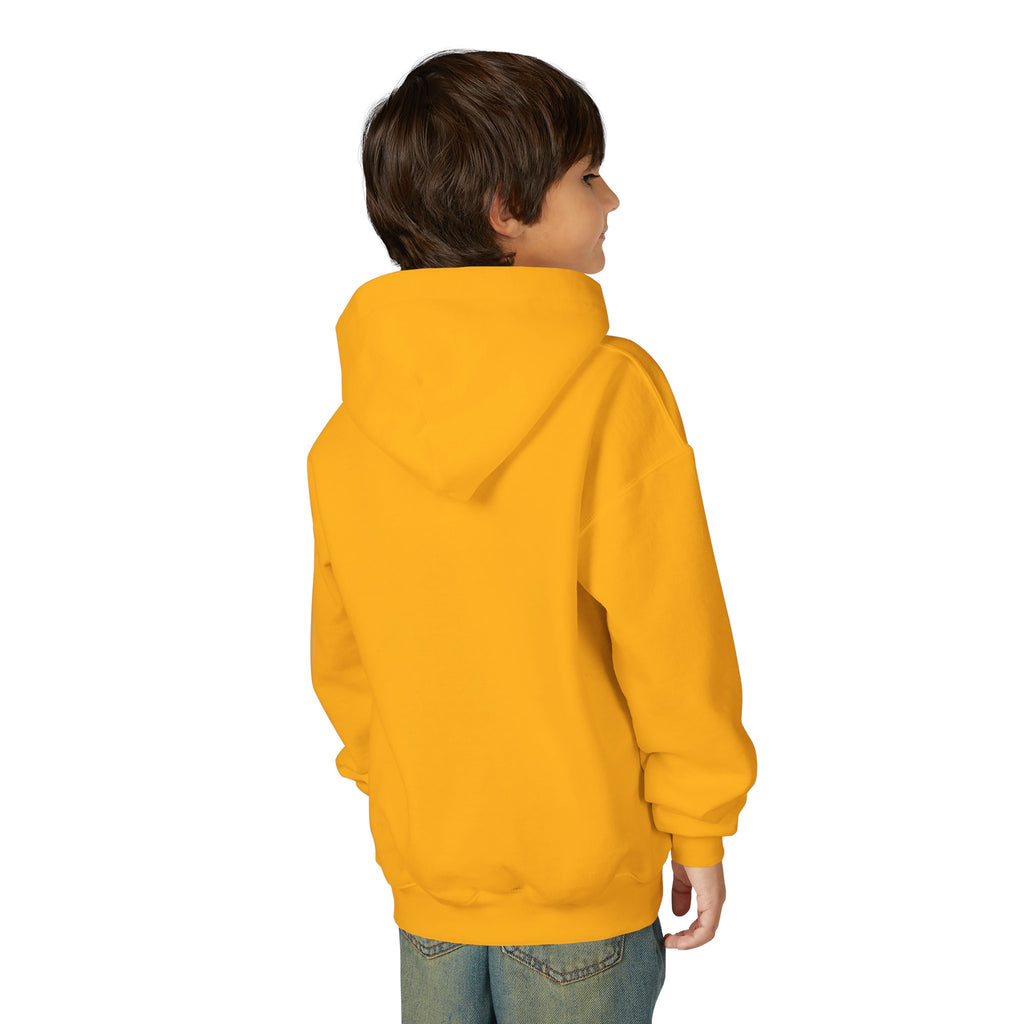 Youth Hoodie — Gradient Heart "Anything Cool Shop" Logo