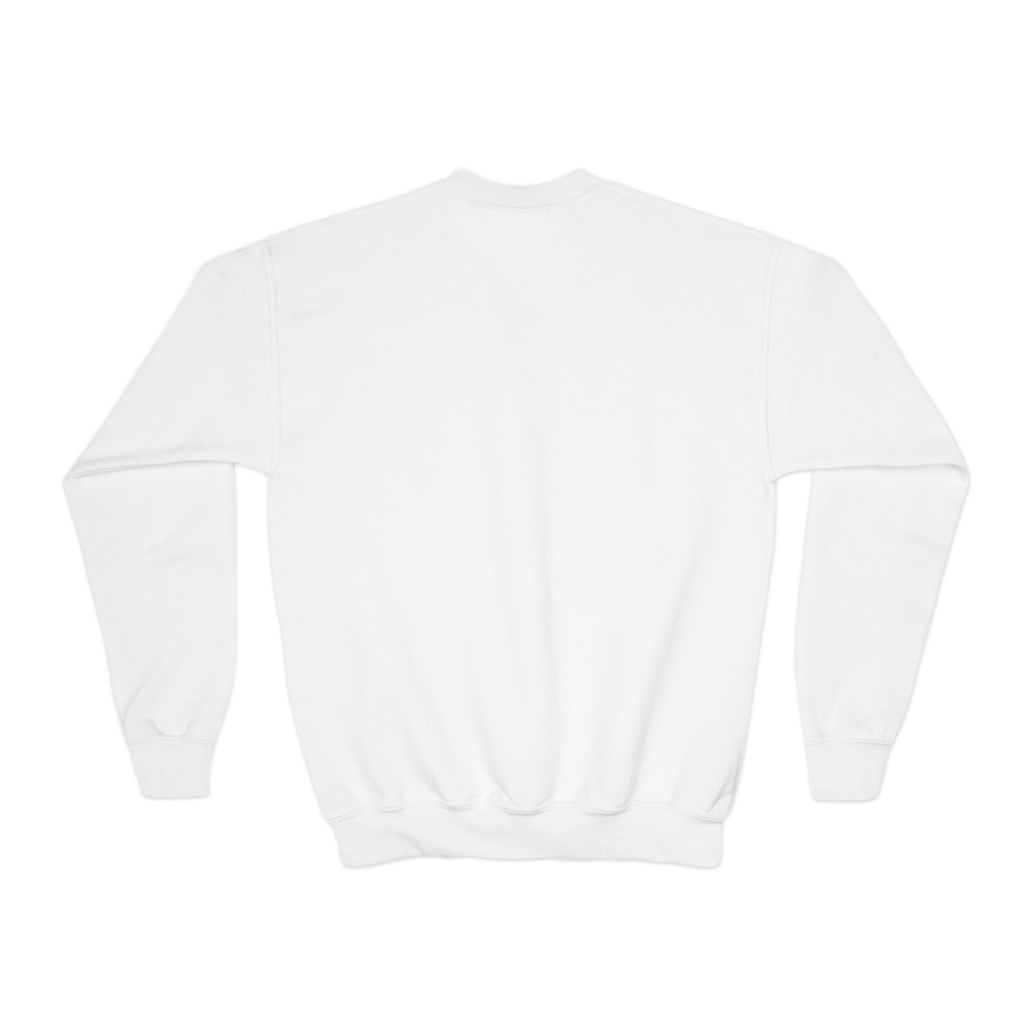Youth Sweatshirt — “Anything Cool Shop” Gradient Heart Crewneck