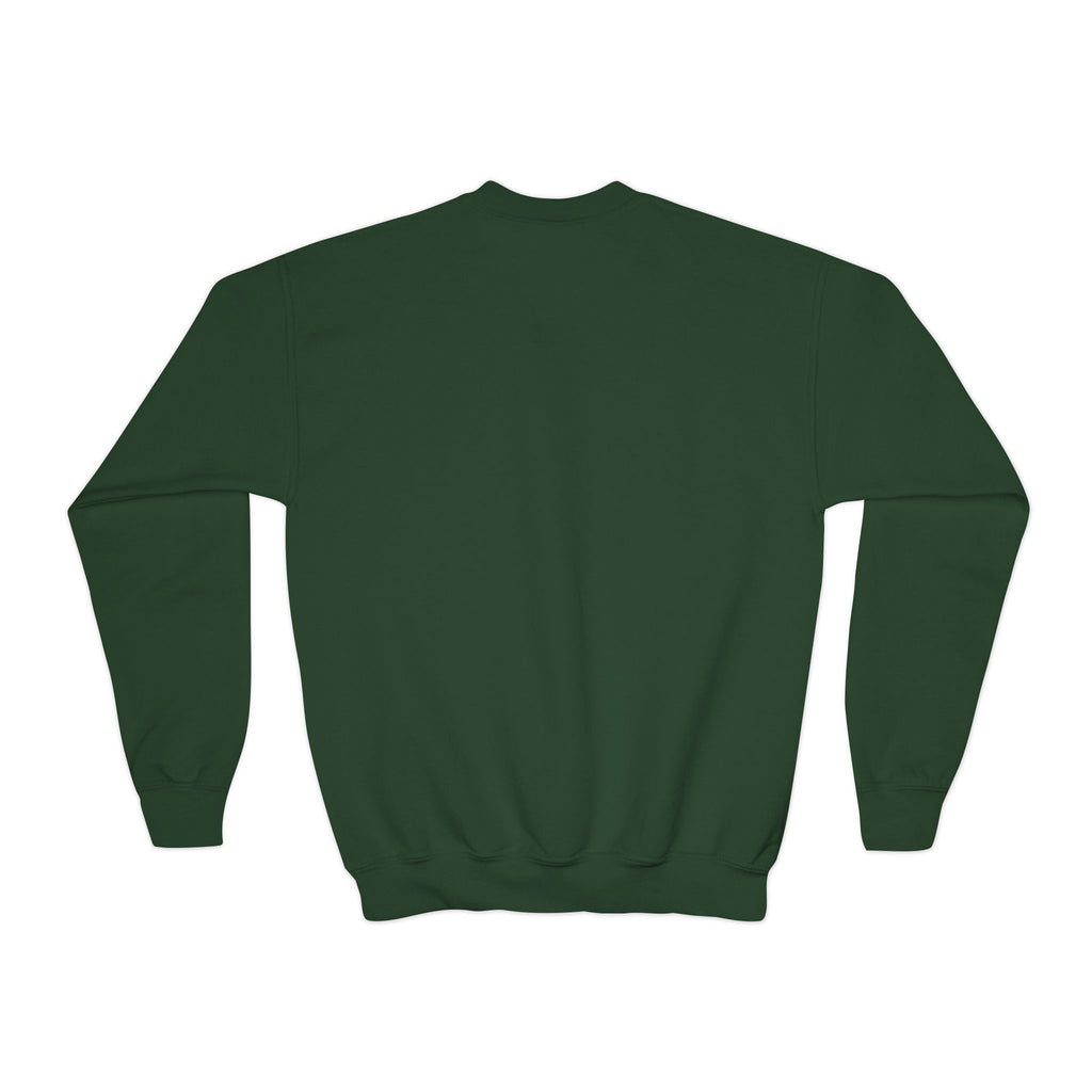 Youth Sweatshirt — “Anything Cool Shop” Gradient Heart Crewneck