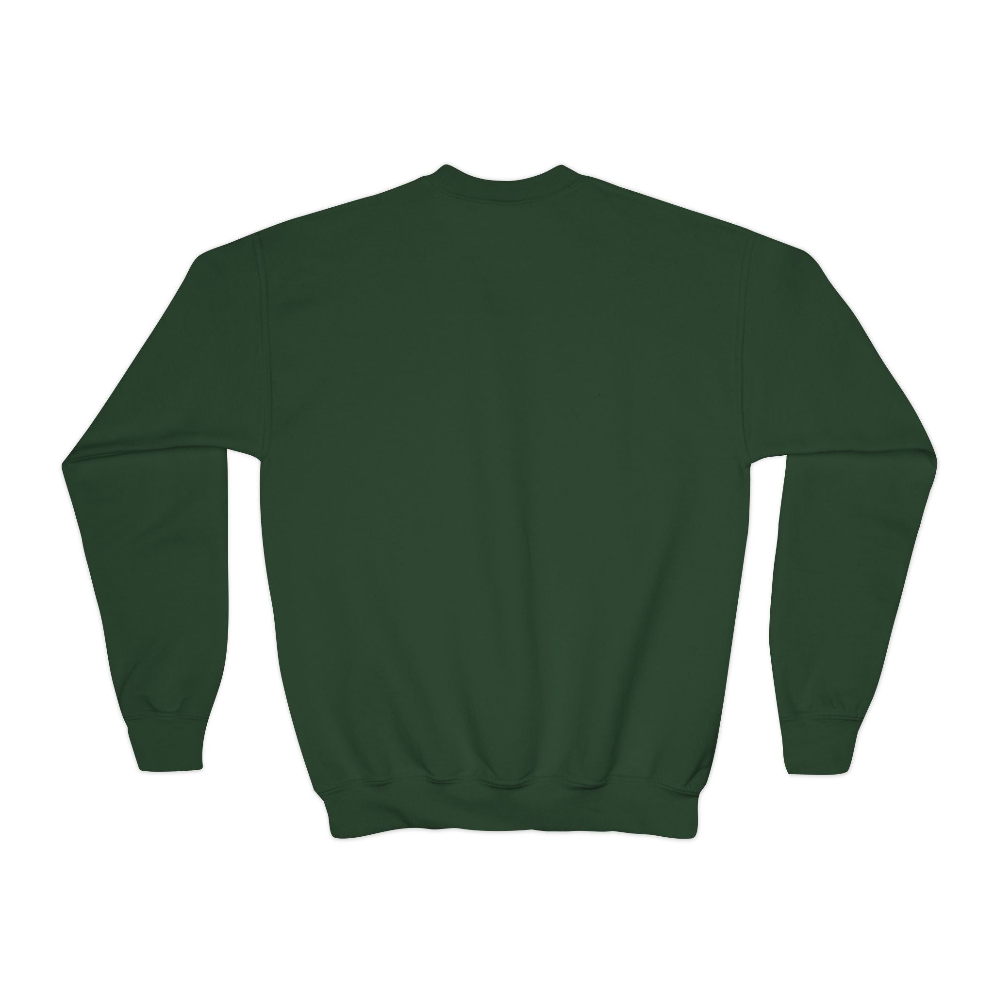 Youth Sweatshirt — “Anything Cool Shop” Gradient Heart Crewneck