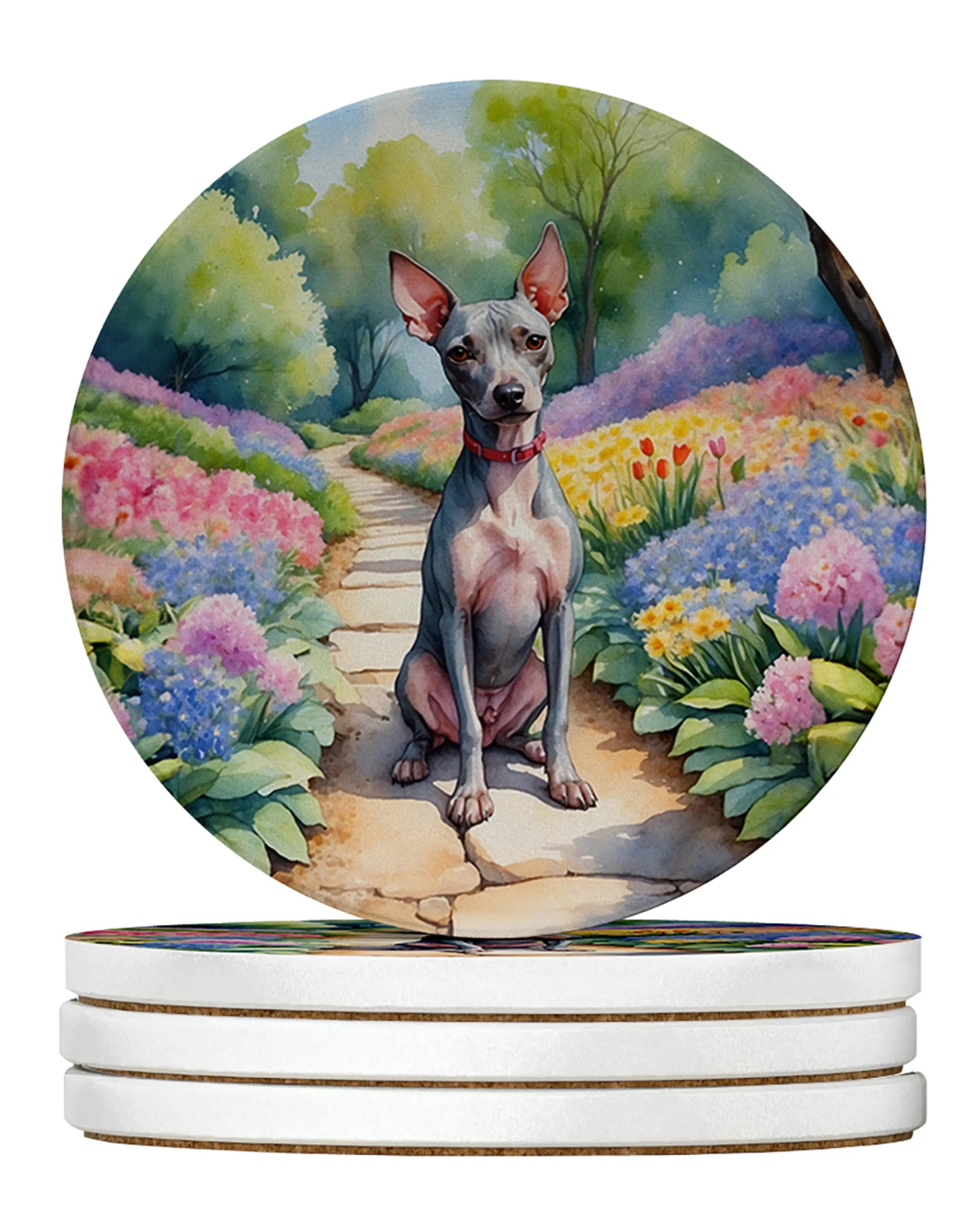 Spring Path Large Sandstone Coasters - Pack of 4 High-Quality Coasters