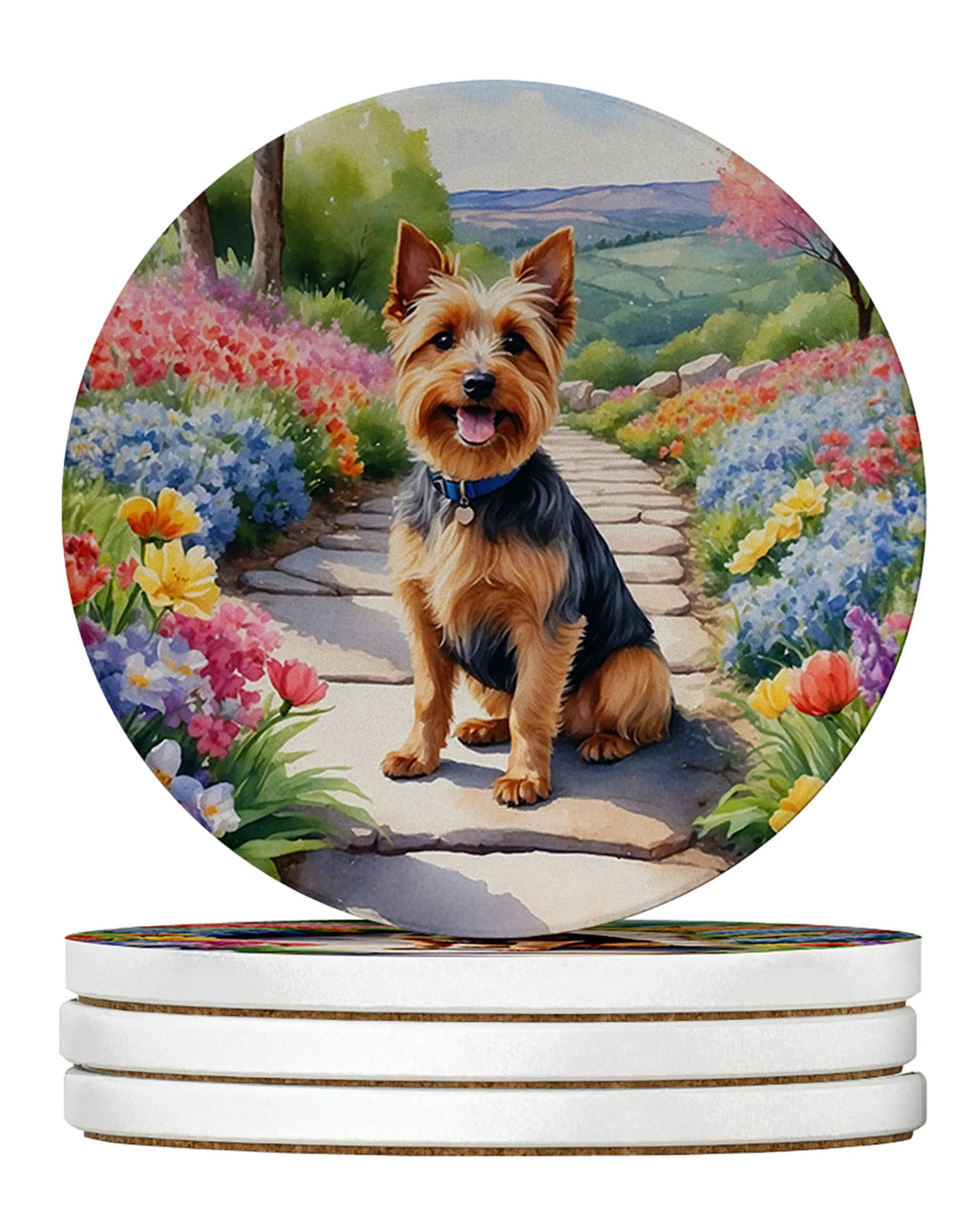 Spring Path Large Sandstone Coasters - Pack of 4 High-Quality Coasters