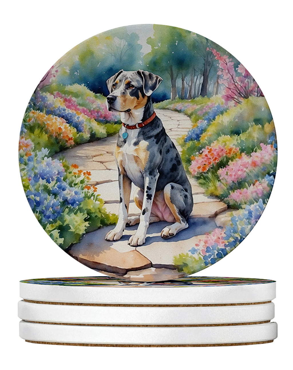 Spring Path Large Sandstone Coasters - Pack of 4 High-Quality Coasters