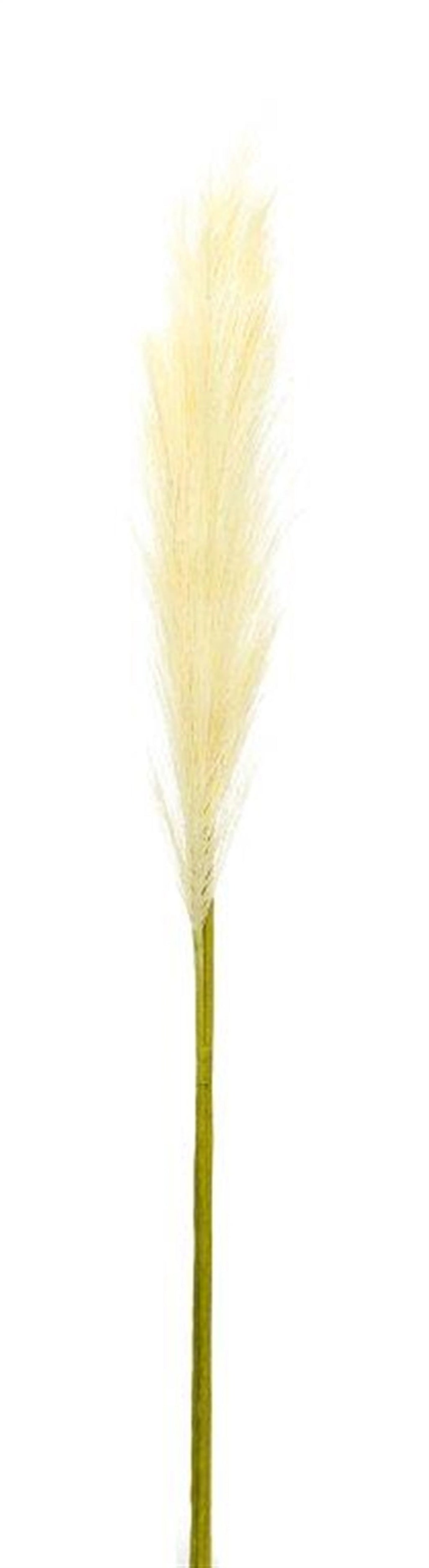 Pampas Spray (Set of 4) 30"H Polyester