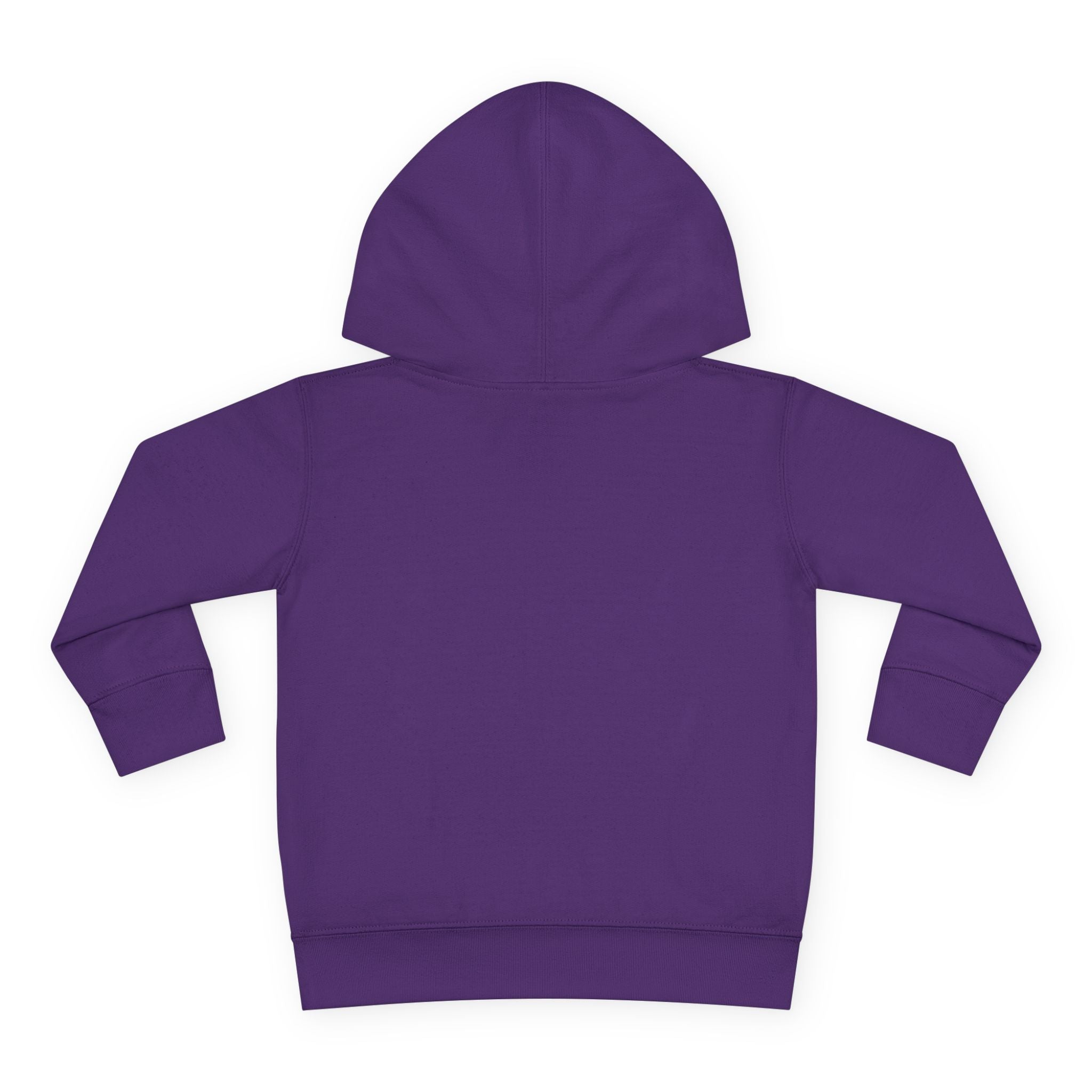 Toddler Hoodie with Gradient Heart Logo — "Anything Cool Shop" Fleece Pullover