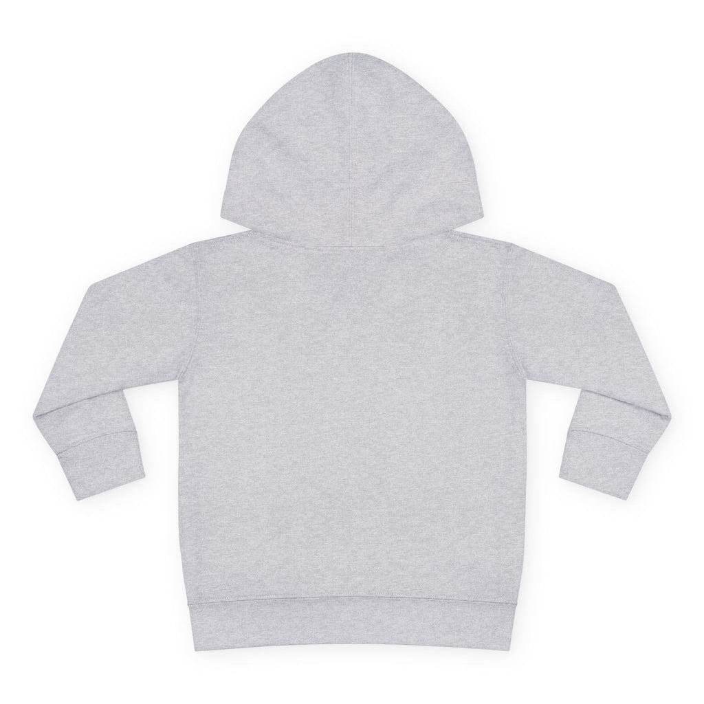 Toddler Hoodie with Gradient Heart Logo — "Anything Cool Shop" Fleece Pullover