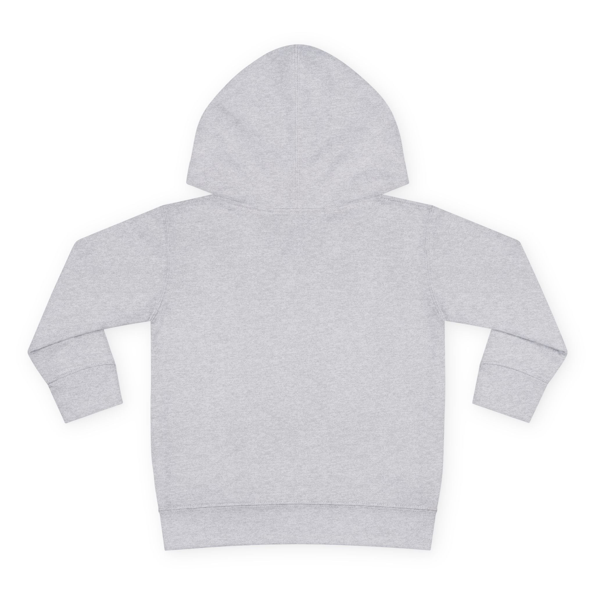 Toddler Hoodie with Gradient Heart Logo — "Anything Cool Shop" Fleece Pullover
