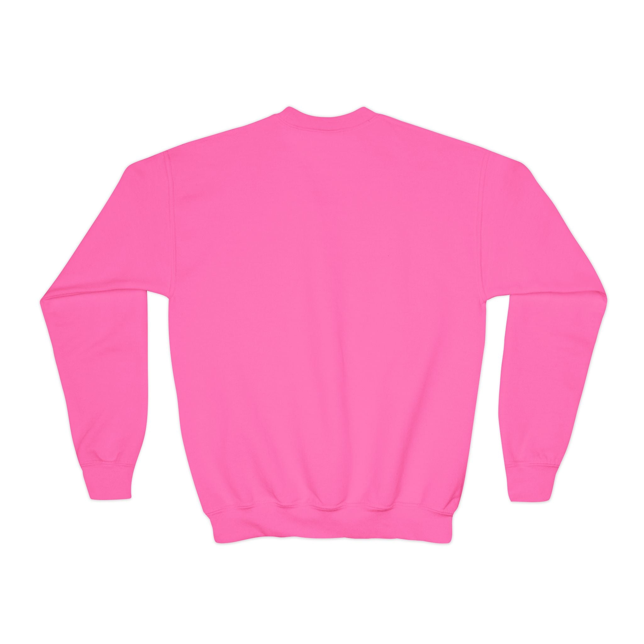 Youth Sweatshirt — “Anything Cool Shop” Gradient Heart Crewneck