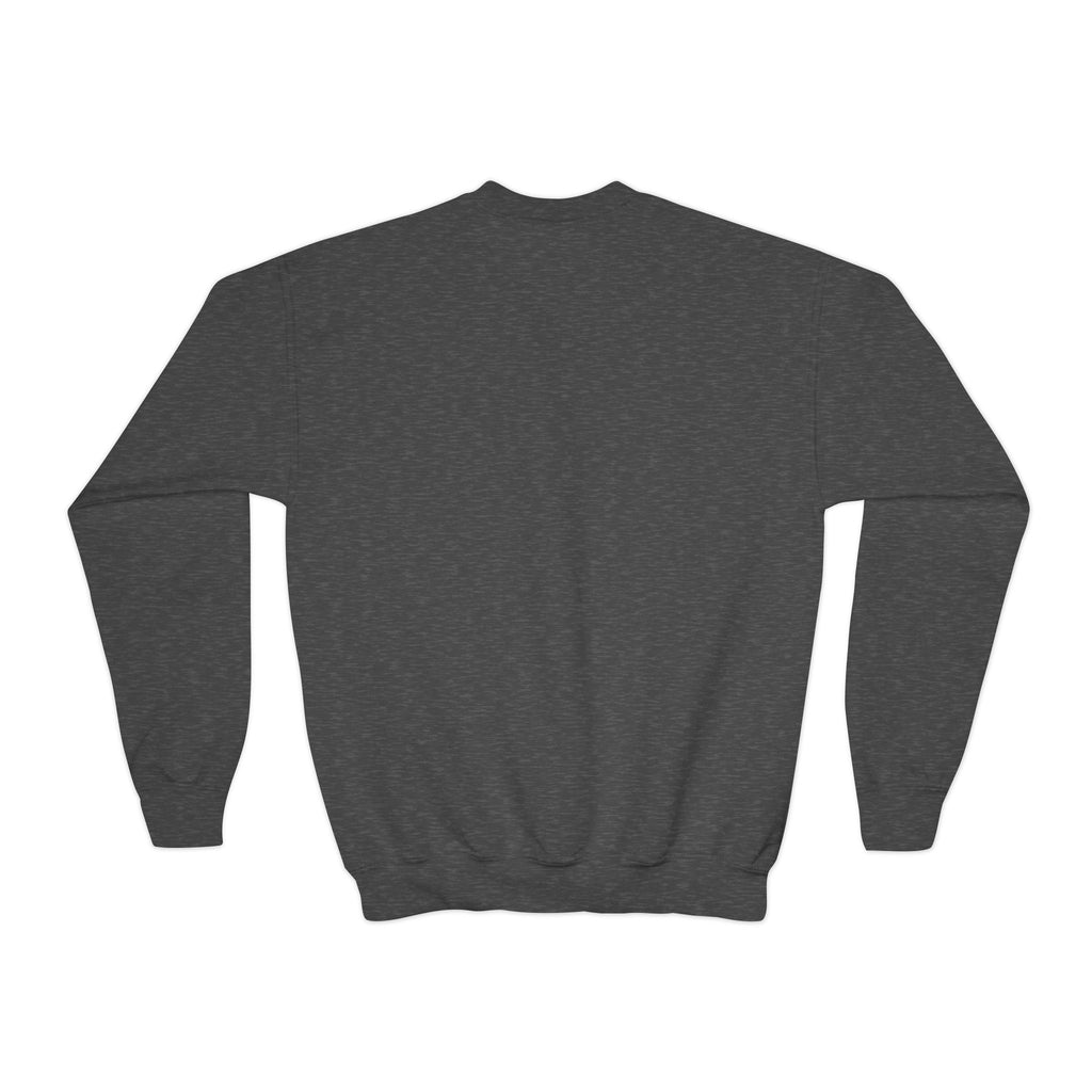 Youth Sweatshirt — “Anything Cool Shop” Gradient Heart Crewneck