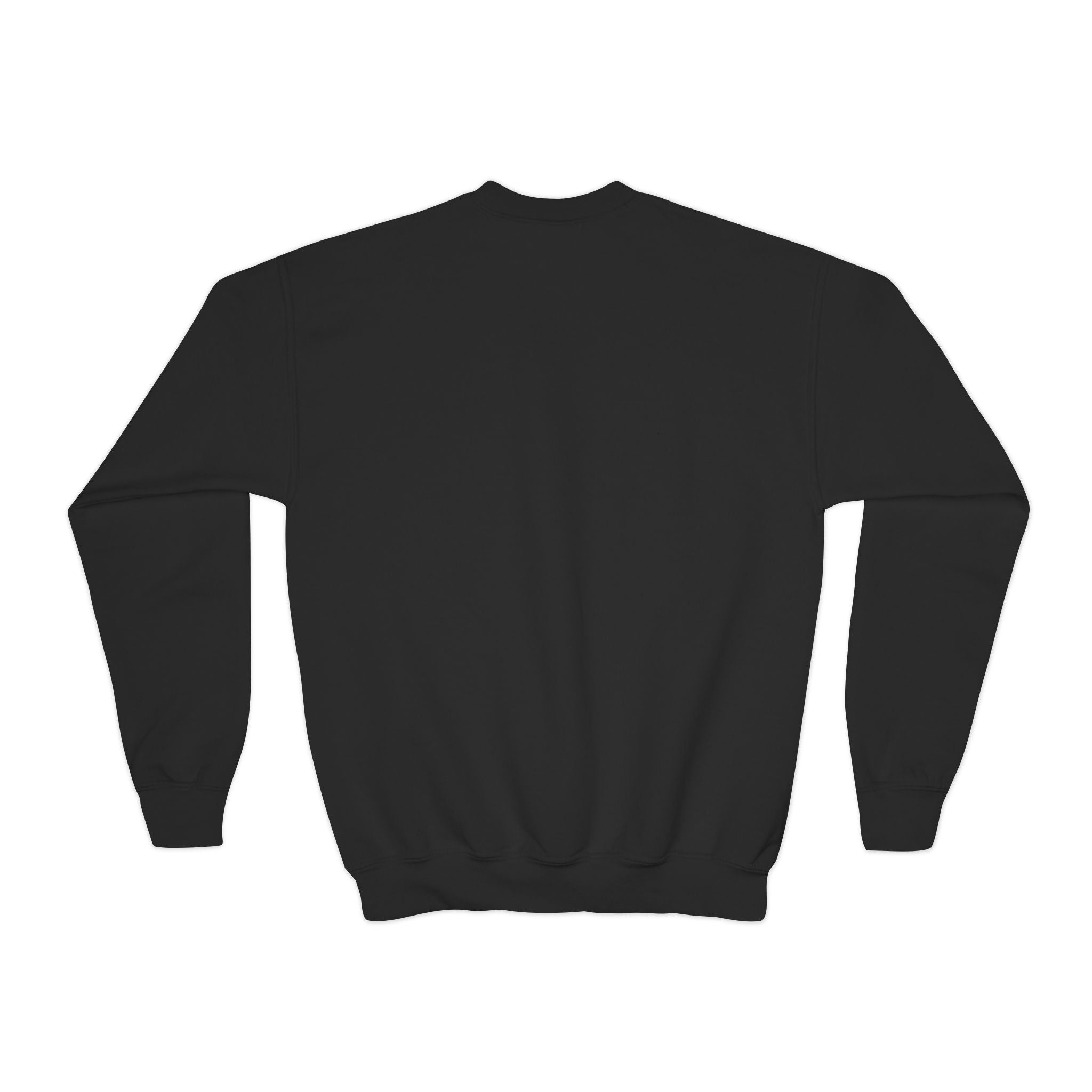 Youth Sweatshirt — “Anything Cool Shop” Gradient Heart Crewneck