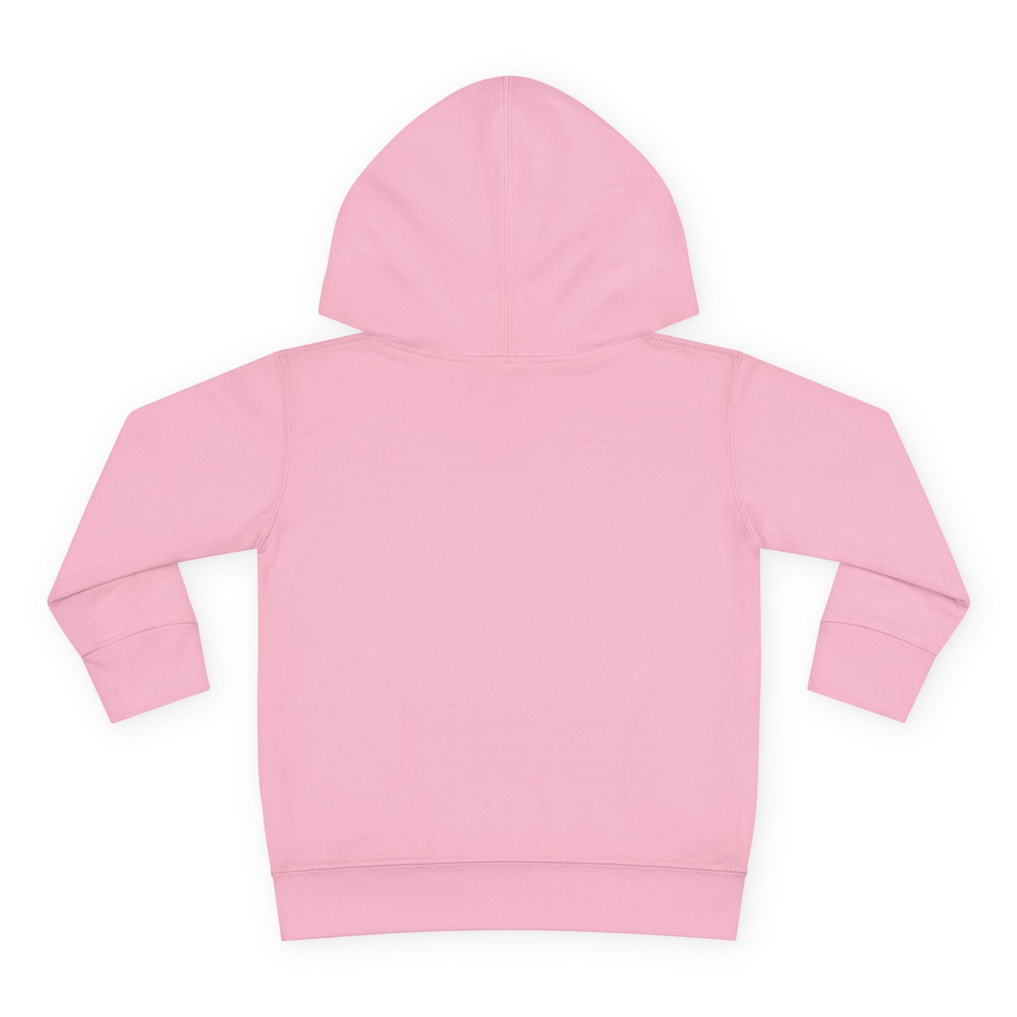 Toddler Hoodie with Gradient Heart Logo — "Anything Cool Shop" Fleece Pullover