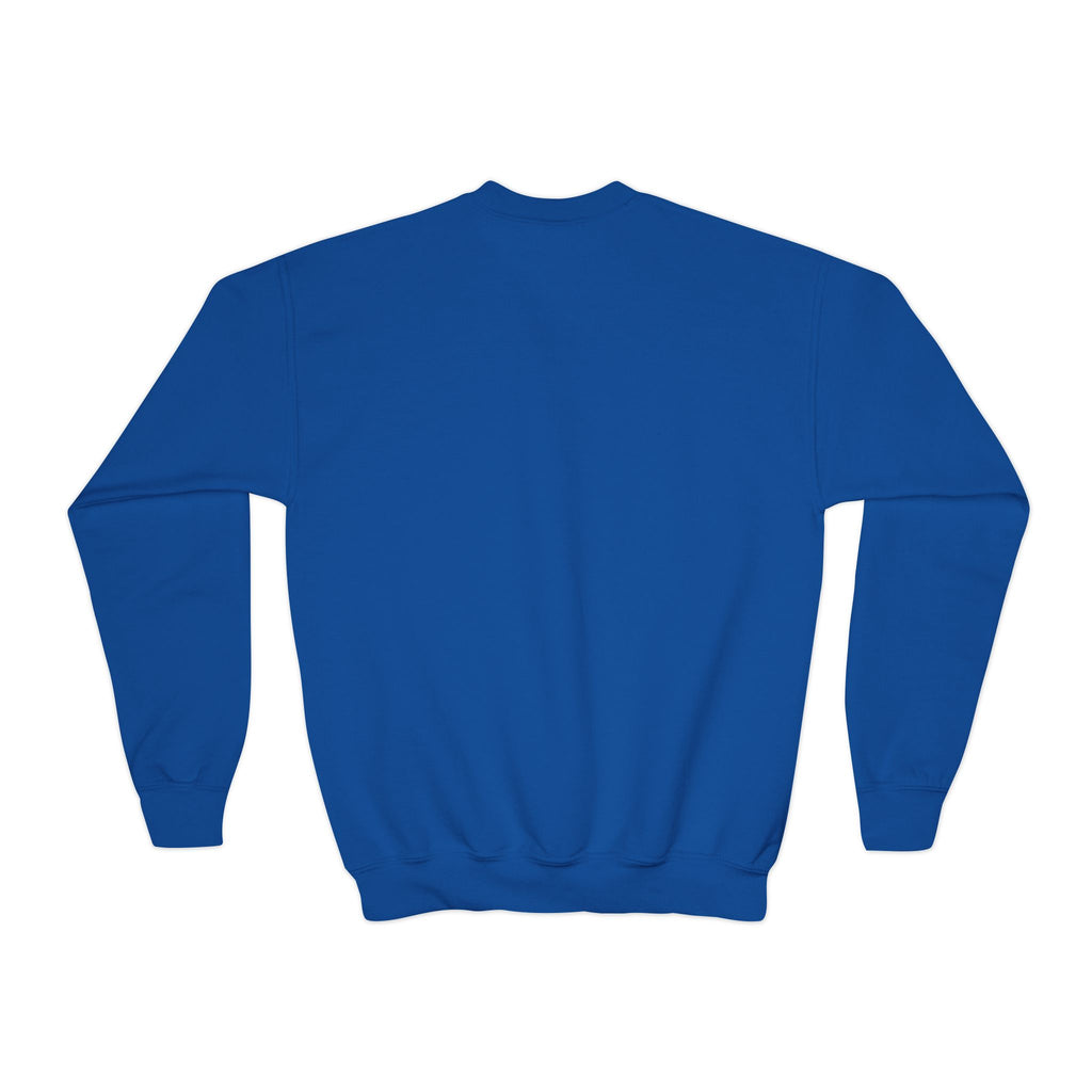 Youth Sweatshirt — “Anything Cool Shop” Gradient Heart Crewneck