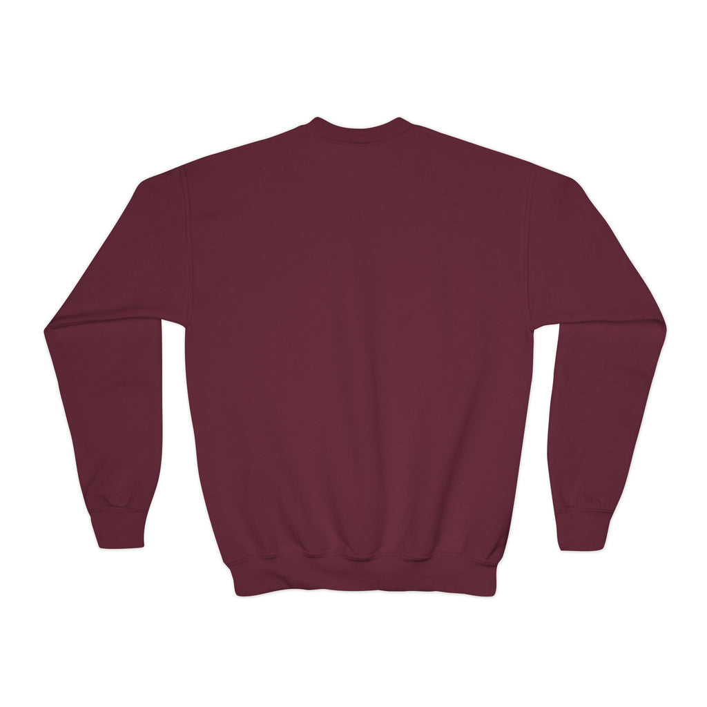 Youth Sweatshirt — “Anything Cool Shop” Gradient Heart Crewneck
