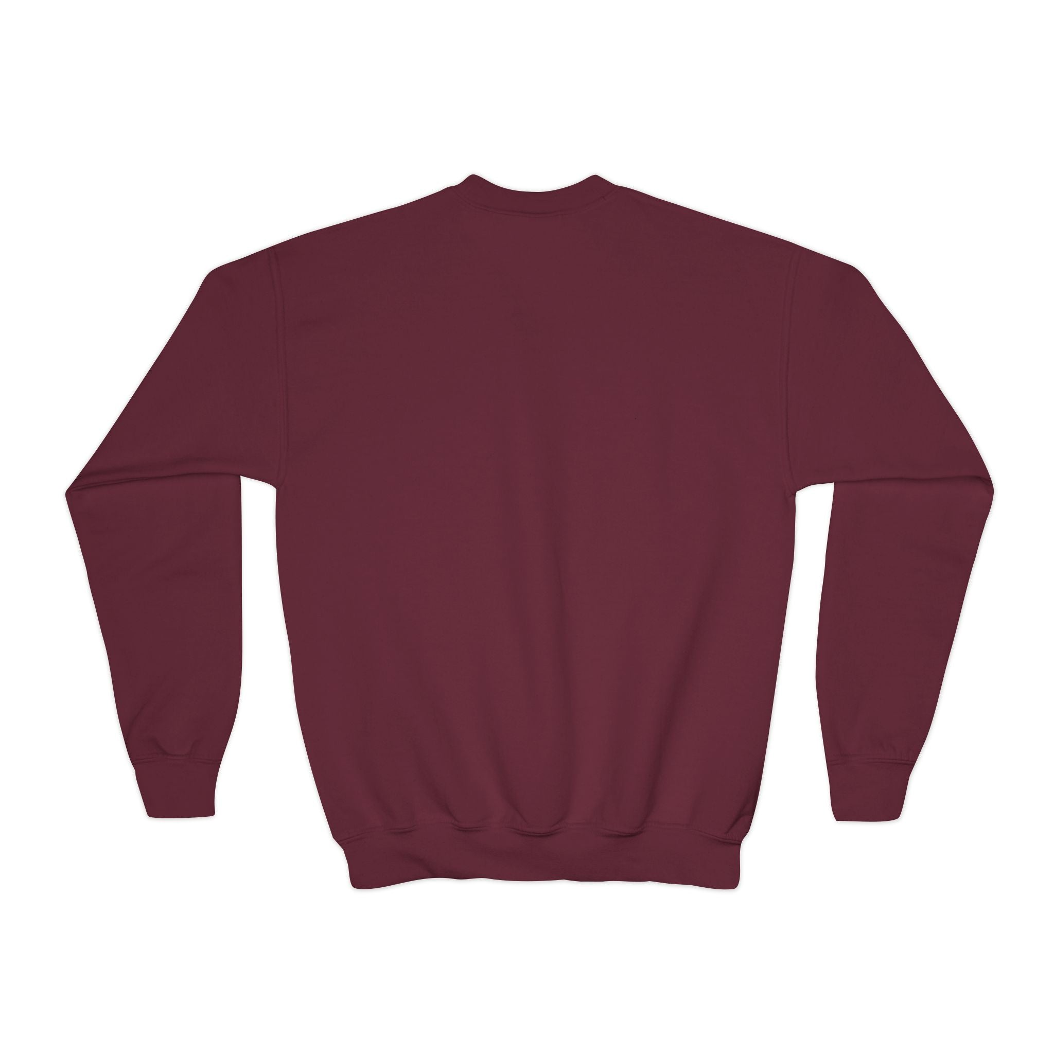 Youth Sweatshirt — “Anything Cool Shop” Gradient Heart Crewneck