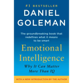 Emotional Intelligence: Why It Can Matter More Than IQ